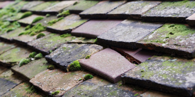 Saddleworth roof repair costs